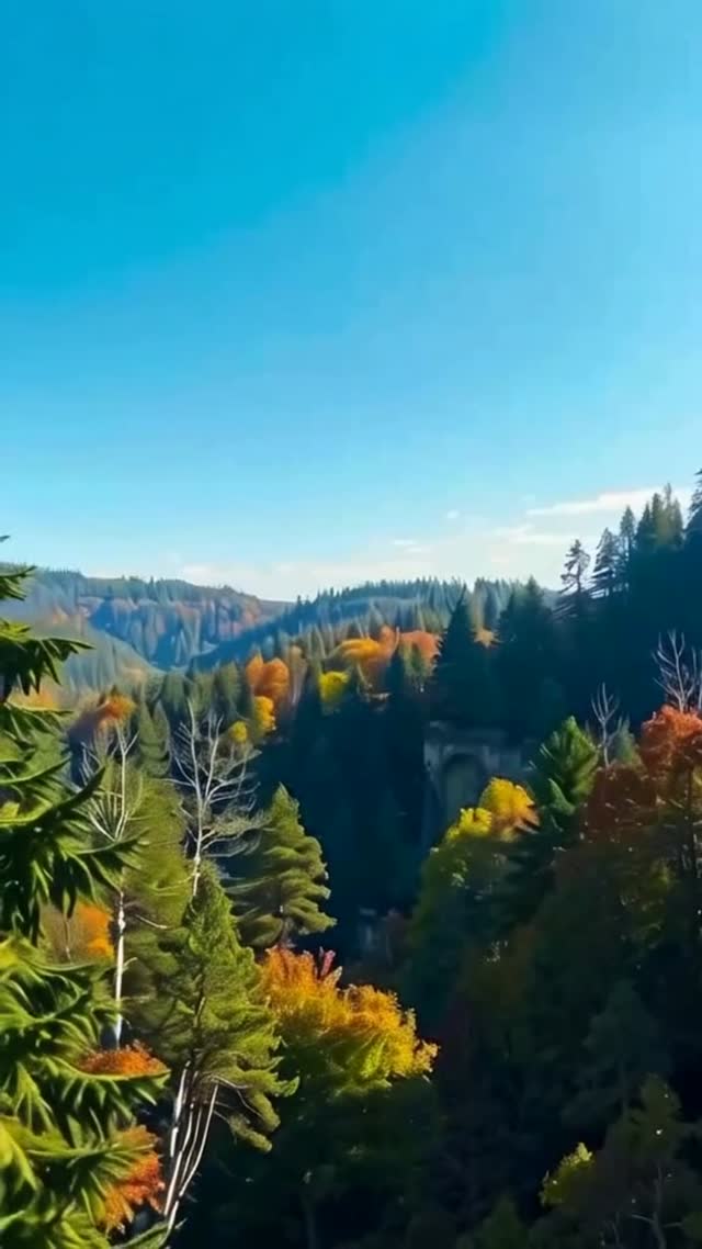 বাকলাভের শক্তি