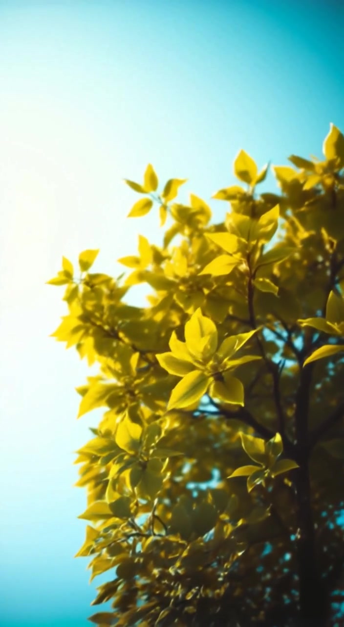 The Walking Tree: Nature's Slow-Motion Escape Artist!