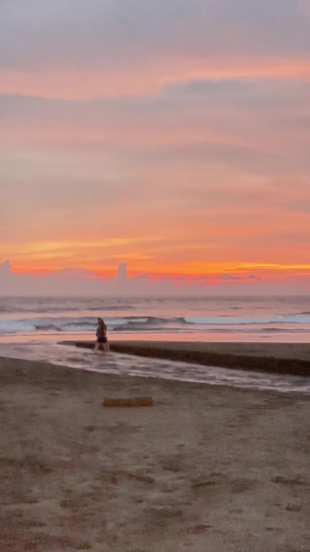 Fakta Unik Tentang Tubuh dan Kupu-Kupu