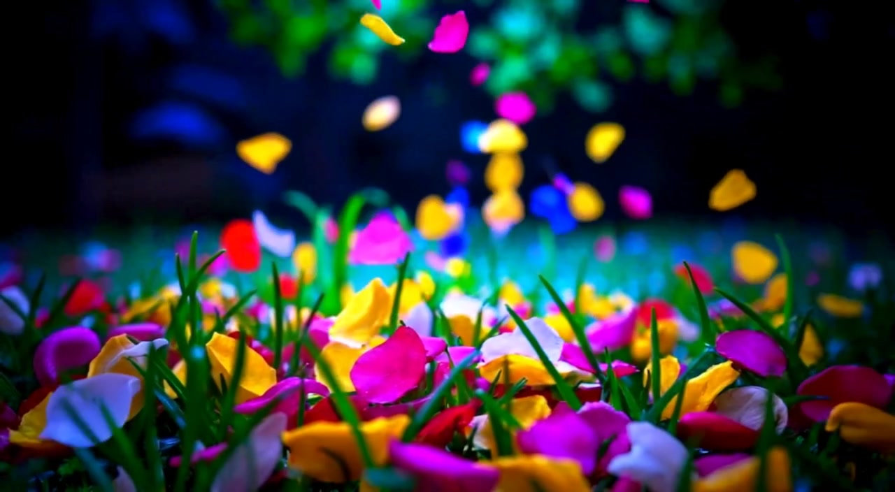 Colorful flower petals drift slowly downwards, scattering gently on the vibrant green grass.