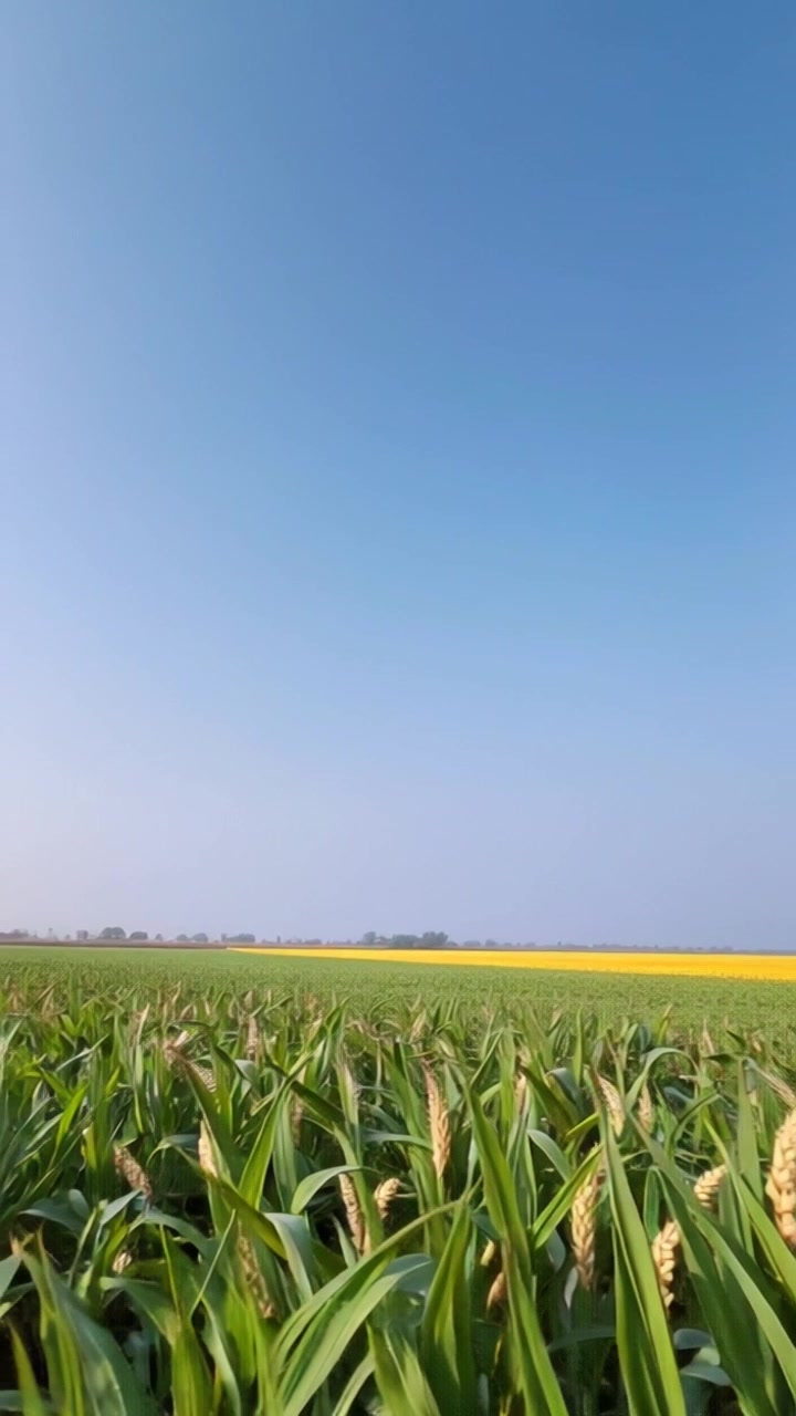 बिहार की विशेषताएँ