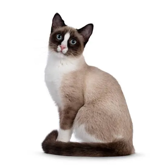 Quand la bouffe prend le dessus sur l'amour 💔 (copy)