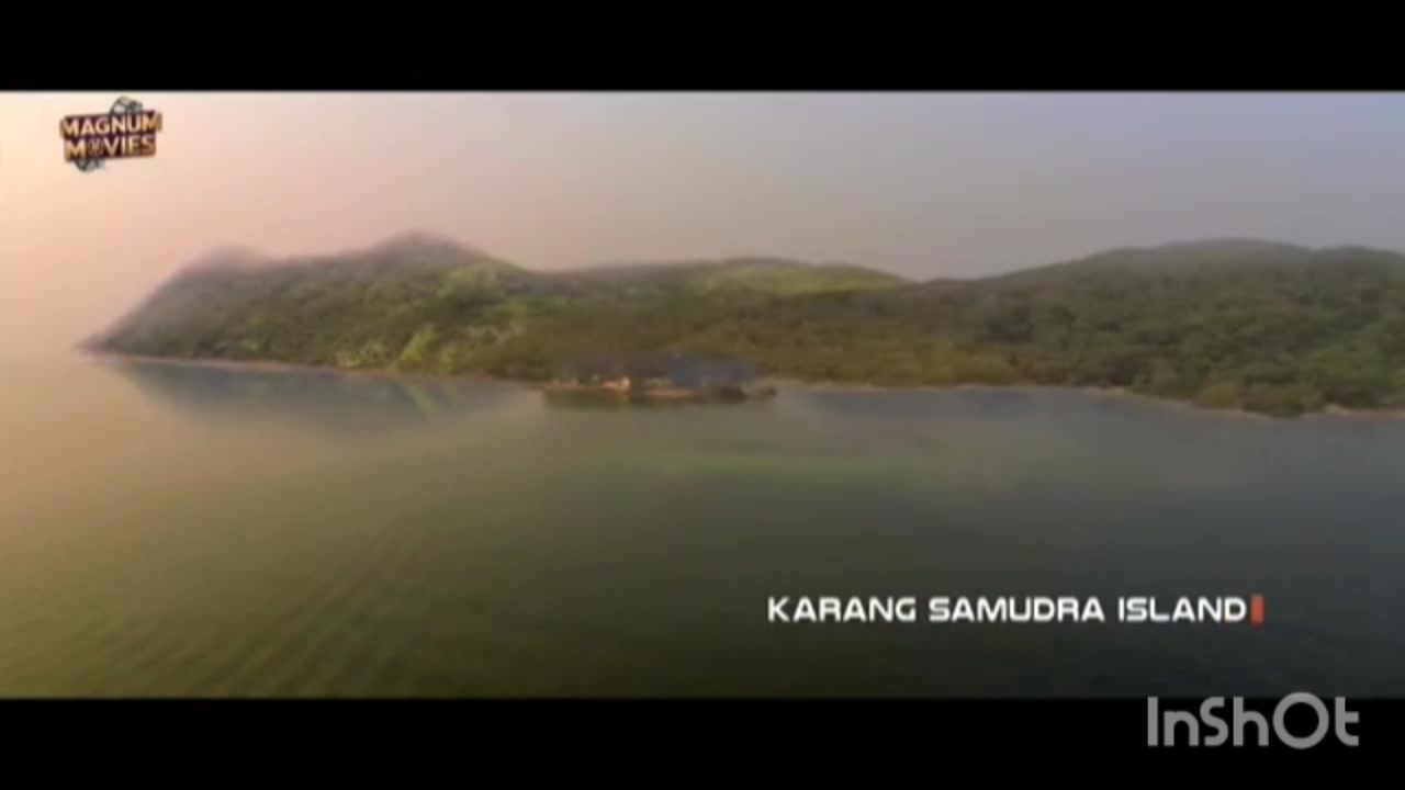 Cartoon Animation Transformation