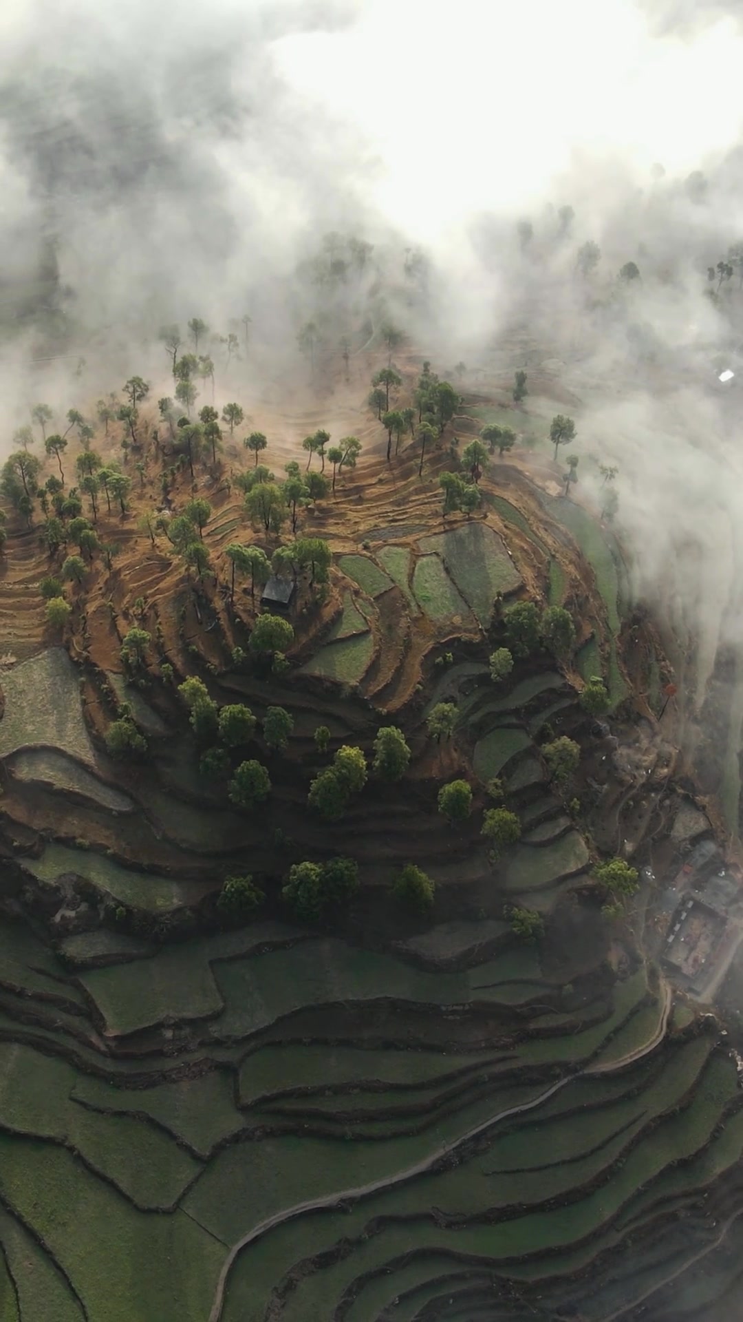 Bali.mp3