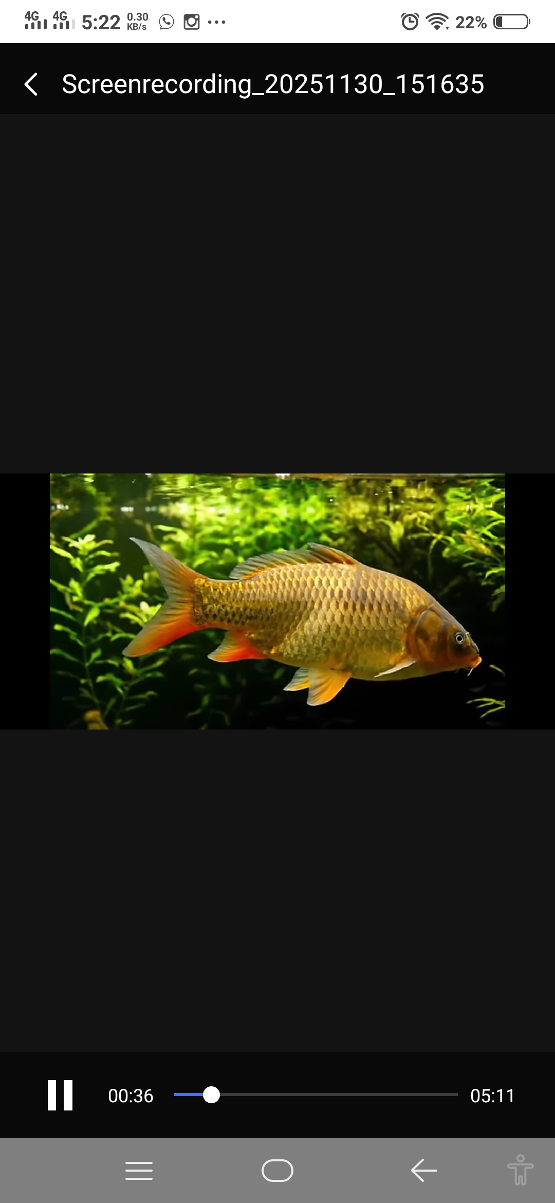 जल-राज की क्वीन की मस्ती