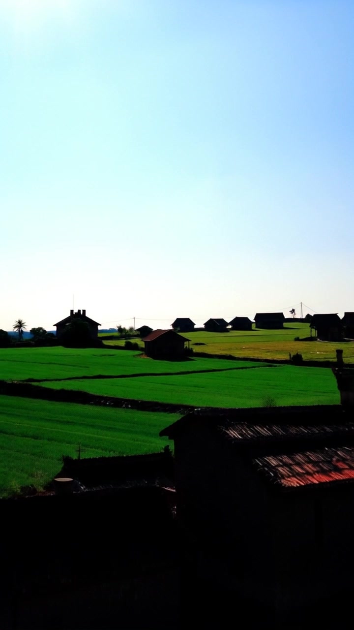मौर्य साम्राज्य की शांति और सरलता का जीवन