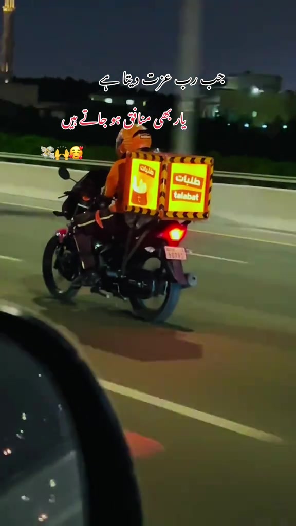 Cat Bike Ride