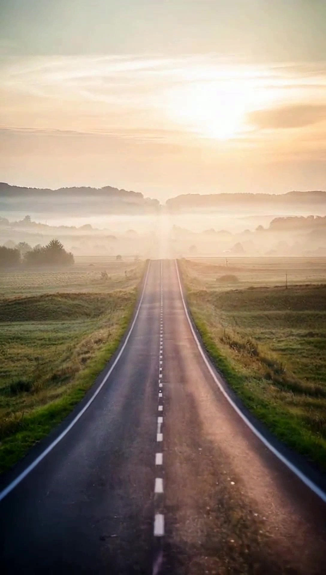 Embrace Your Journey: Overcoming Challenges and Achieving Dreams