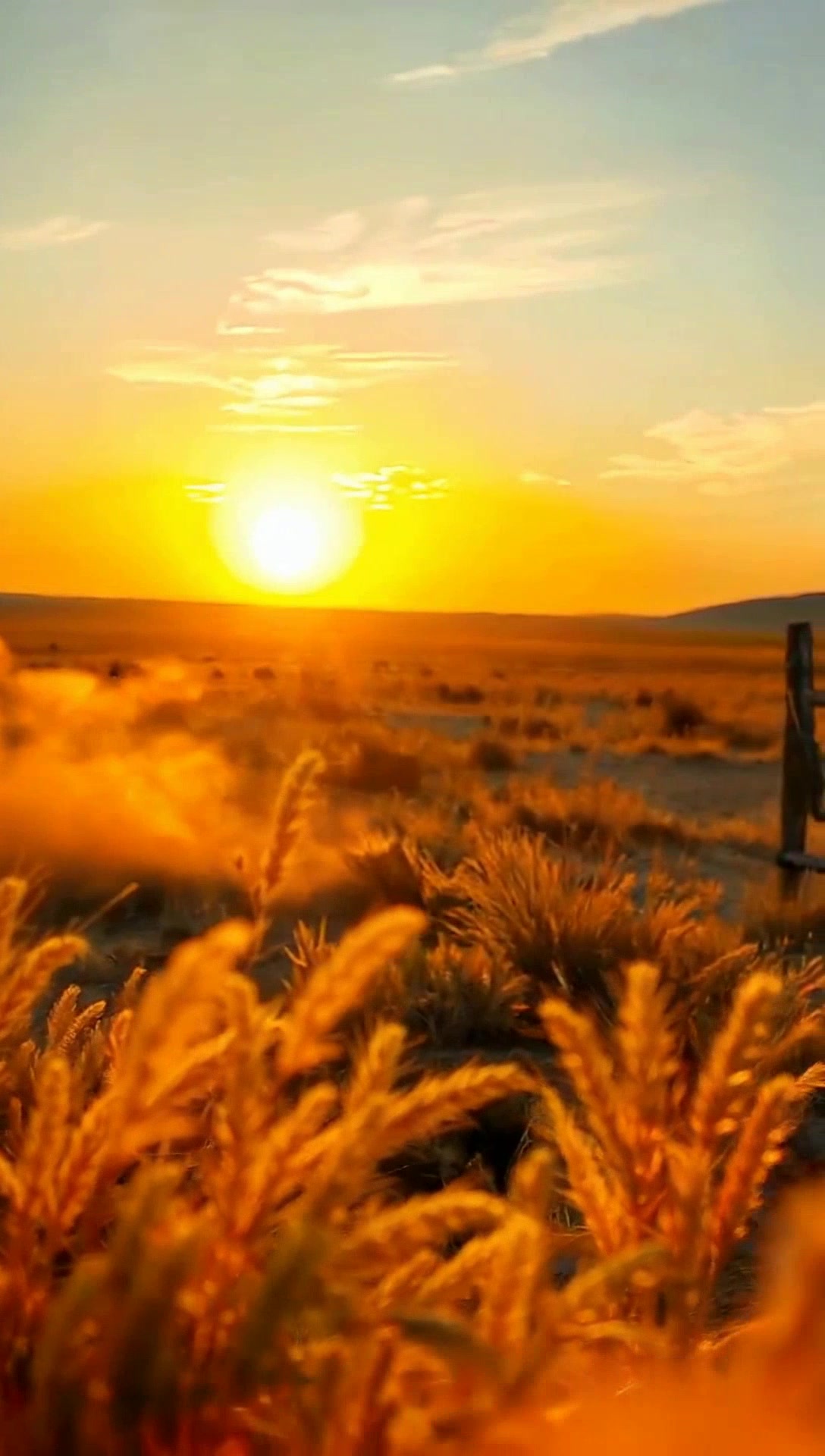 When Texas Became a State