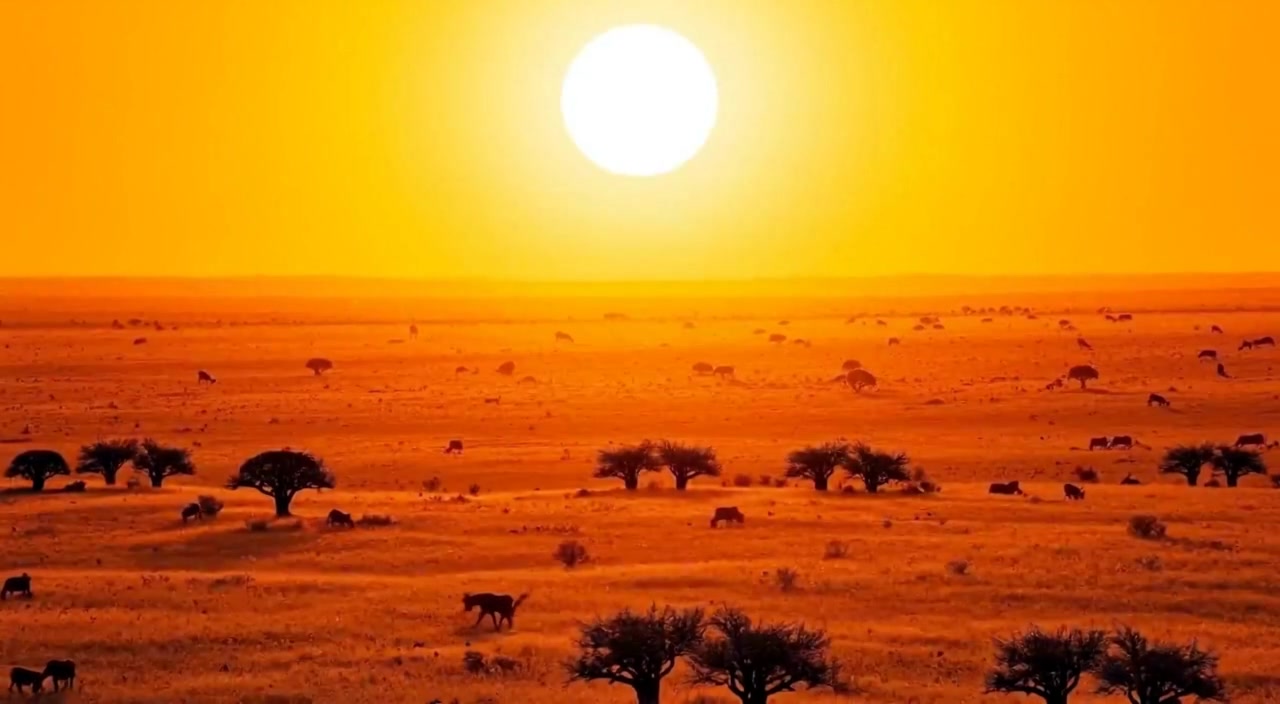 Braving the Lion's Feast: A Hominid Encounter