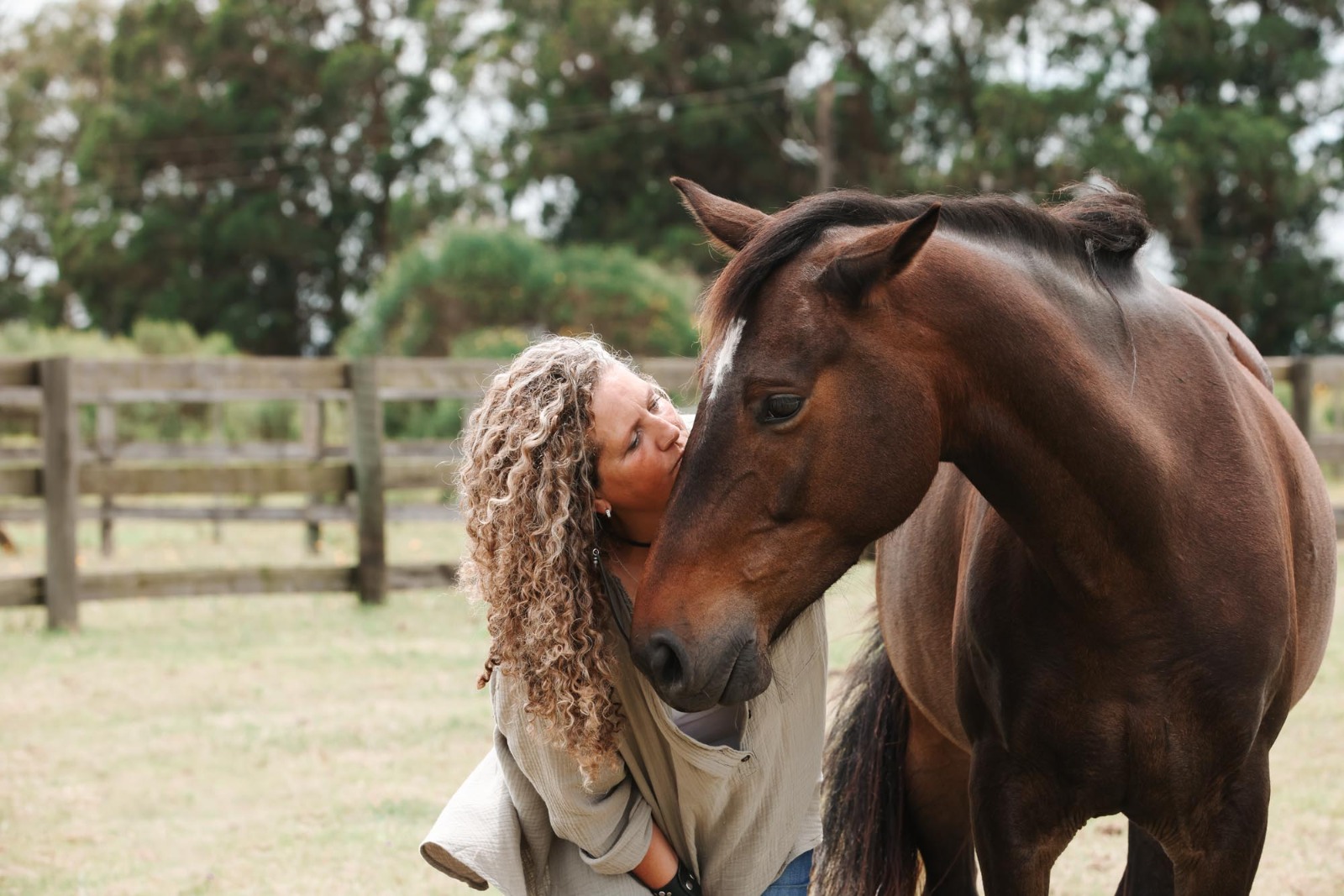 Conexión Equina: Un Viaje Sanador en Equino Vibe