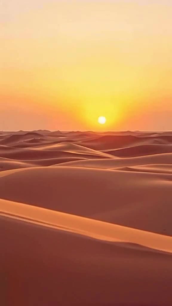 التصوف ومكافحة المخدرات: منهج روحي لمواجهة التحديات الاجتماعية