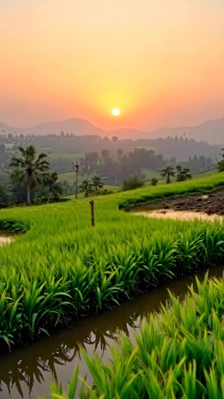 Golden Hour in a Serene Bangladeshi Village