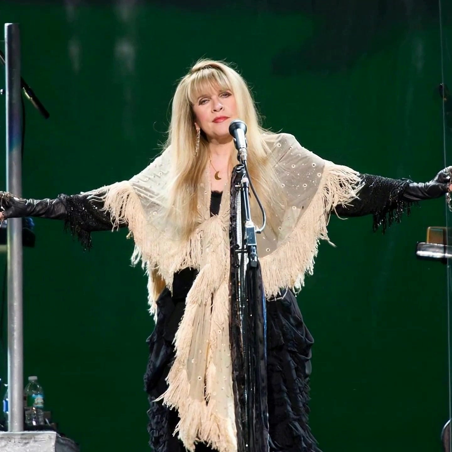Stevie Nicks: The Heartbeat of Fleetwood Mac