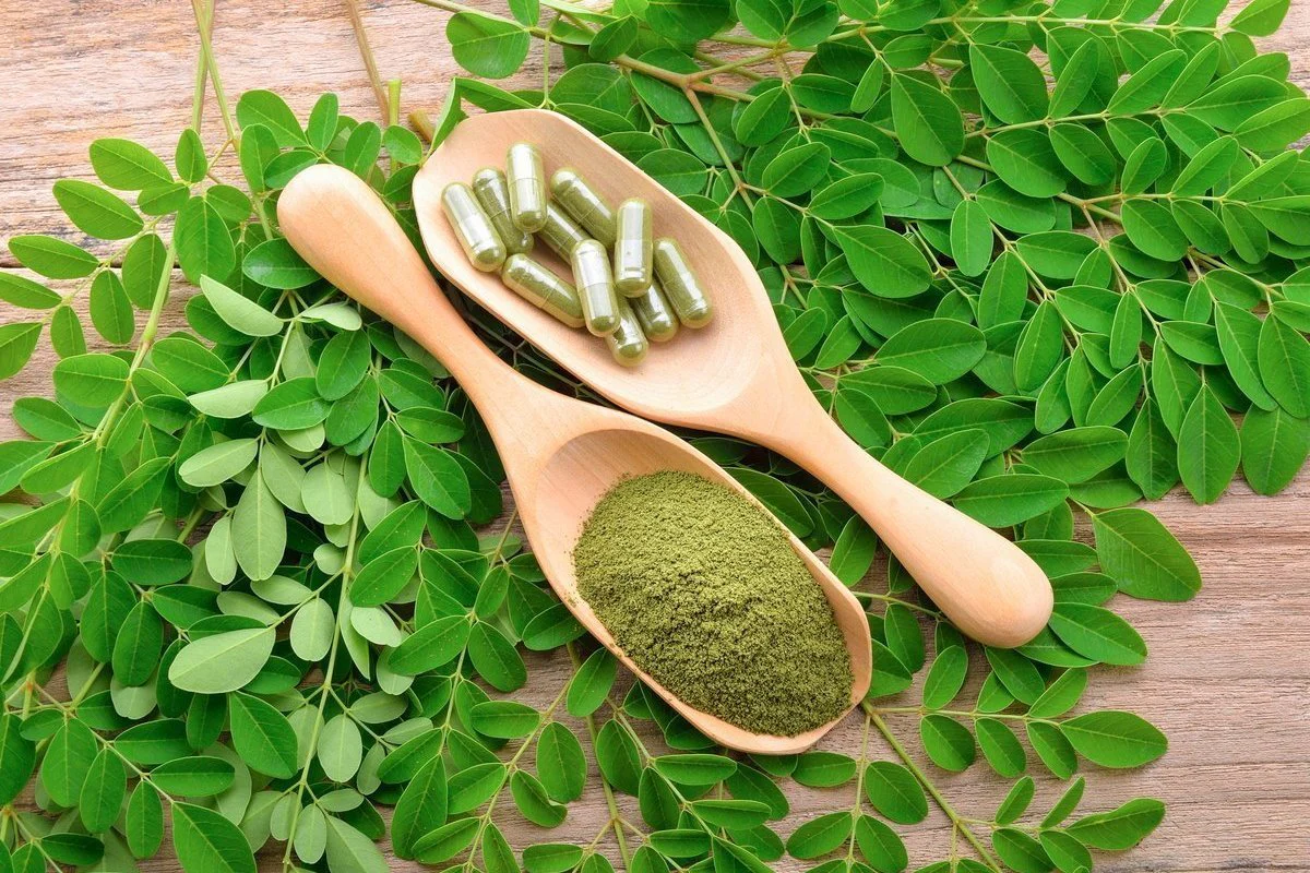 Unlock the Power of Moringa: The Miracle Tree for Energy and Health!