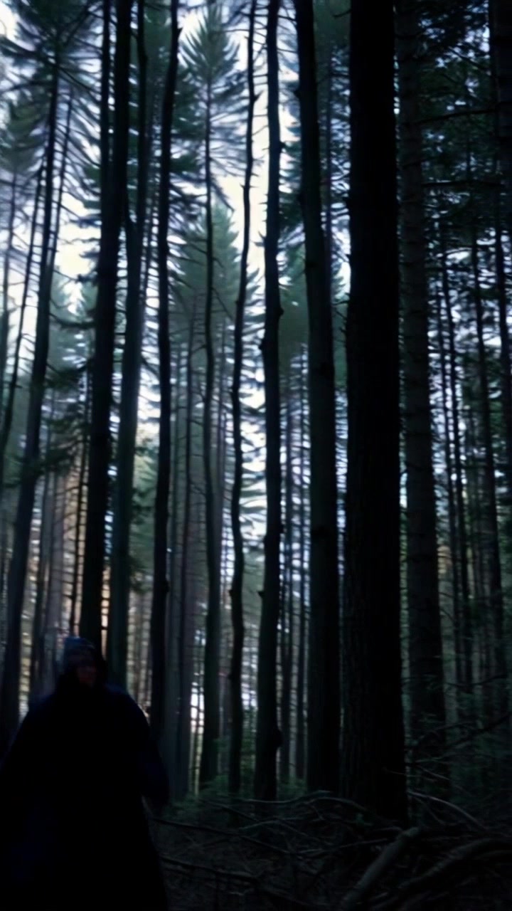 The Prophecy of the Last Light