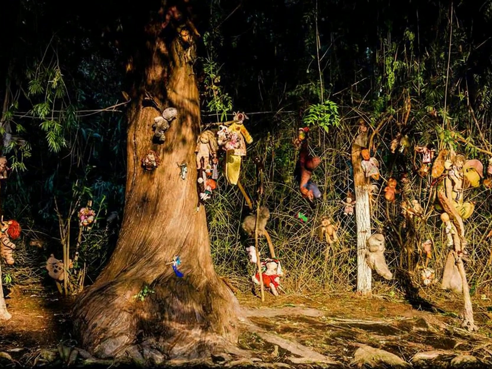 Explore the Eerie Island of Haunted Dolls