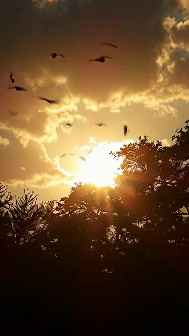 रात के जंगल में खोया बच्चा