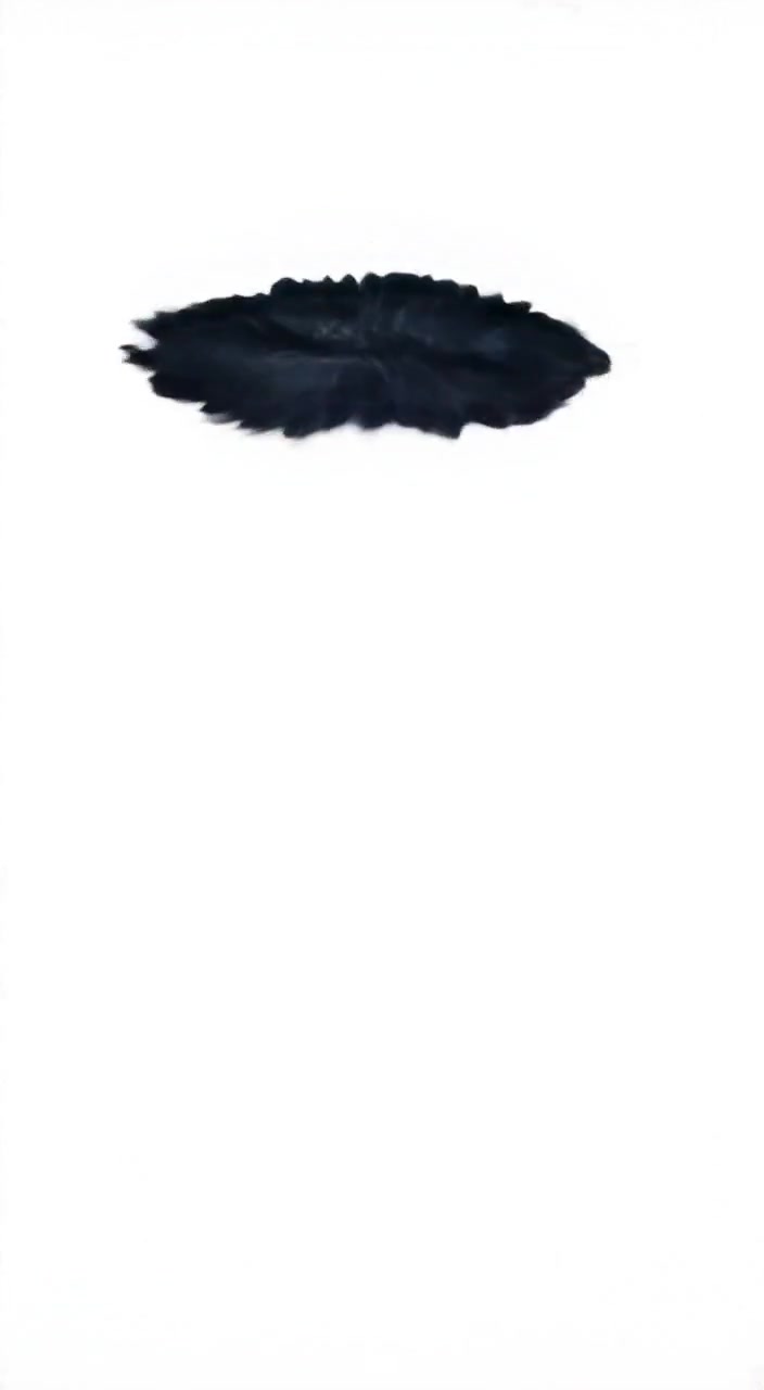 A single feather gently falls and lands softly on the pristine white surface.