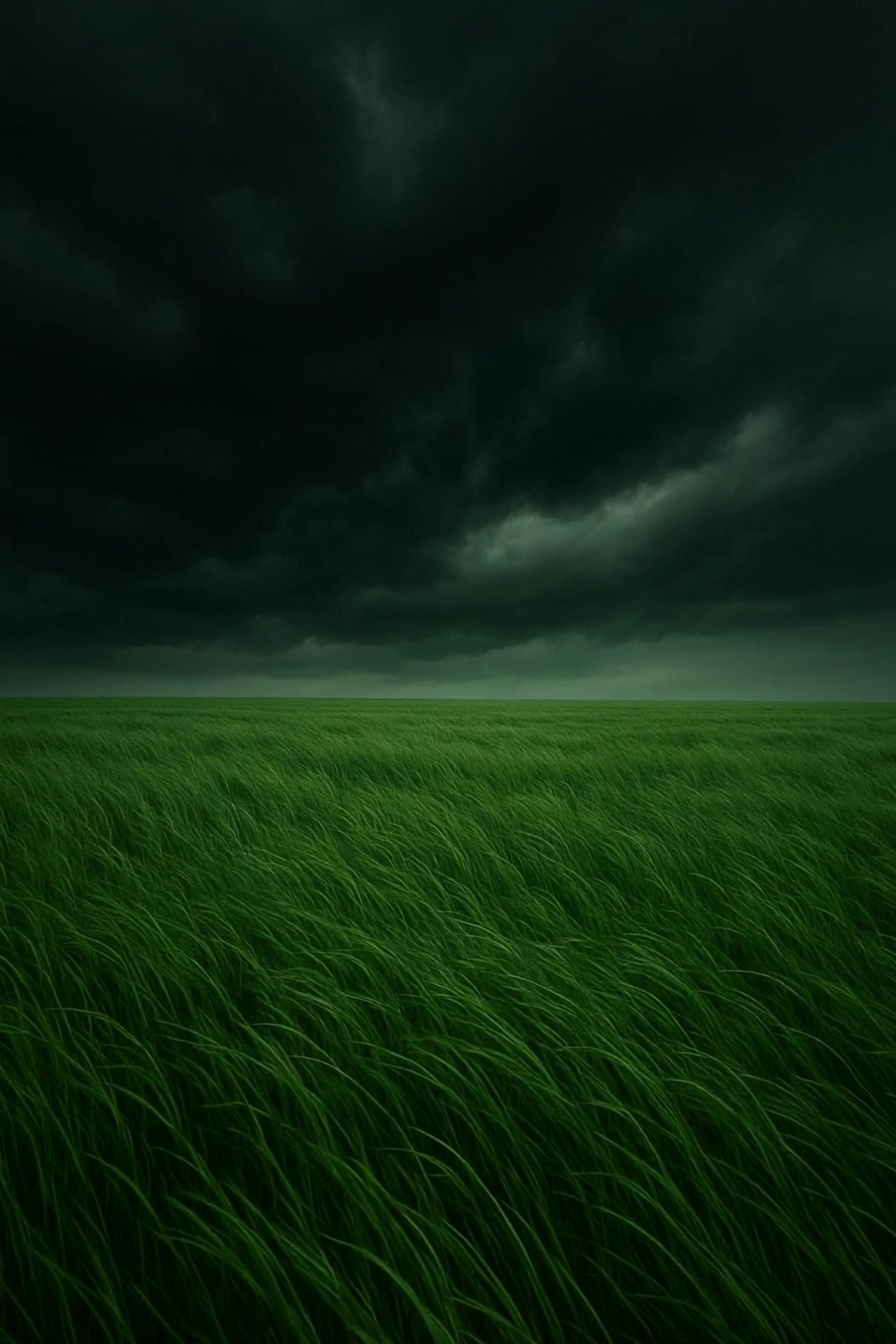 Whispers of the Stormy Grassfield