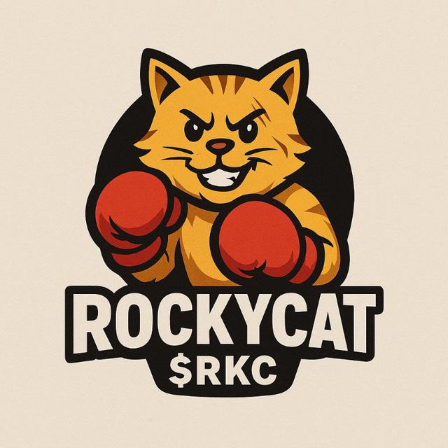 RockyCat: The Underdog Punching Its Way to the Top! 🚀😼🥊