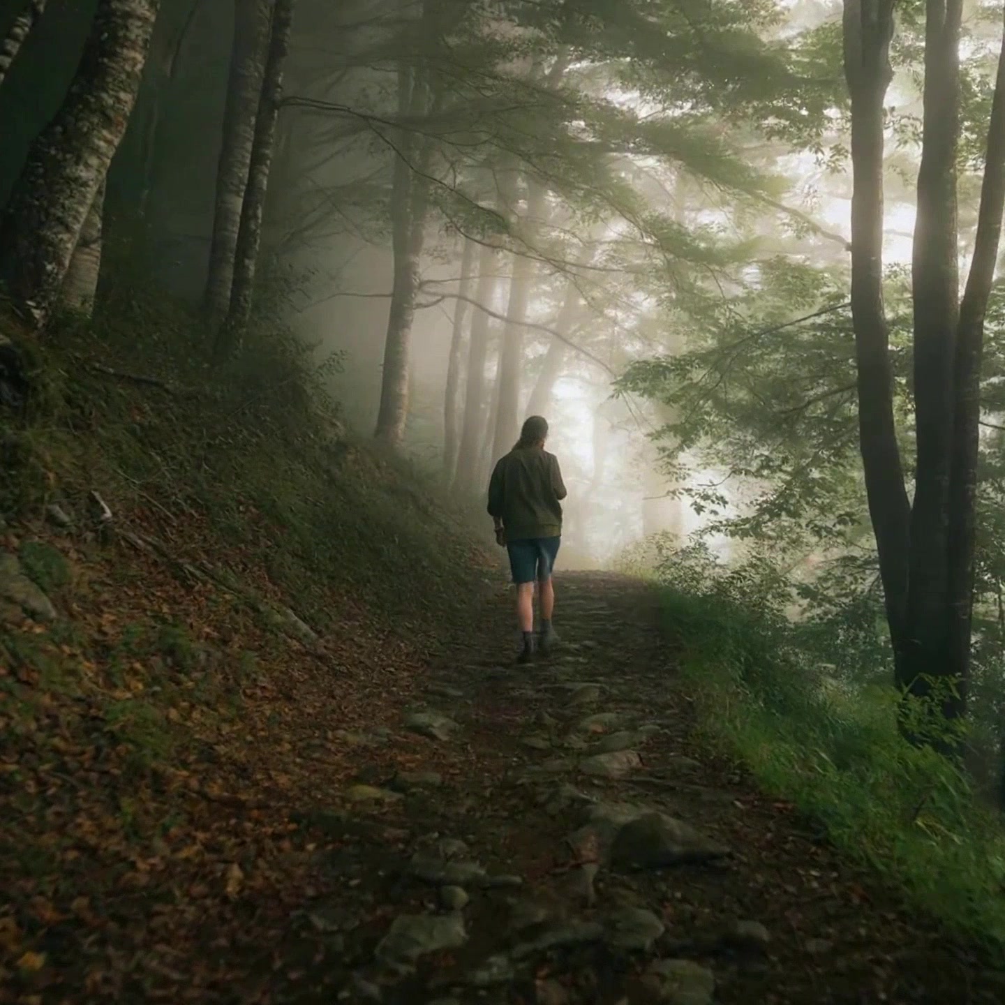 Beware the Call of the Woods