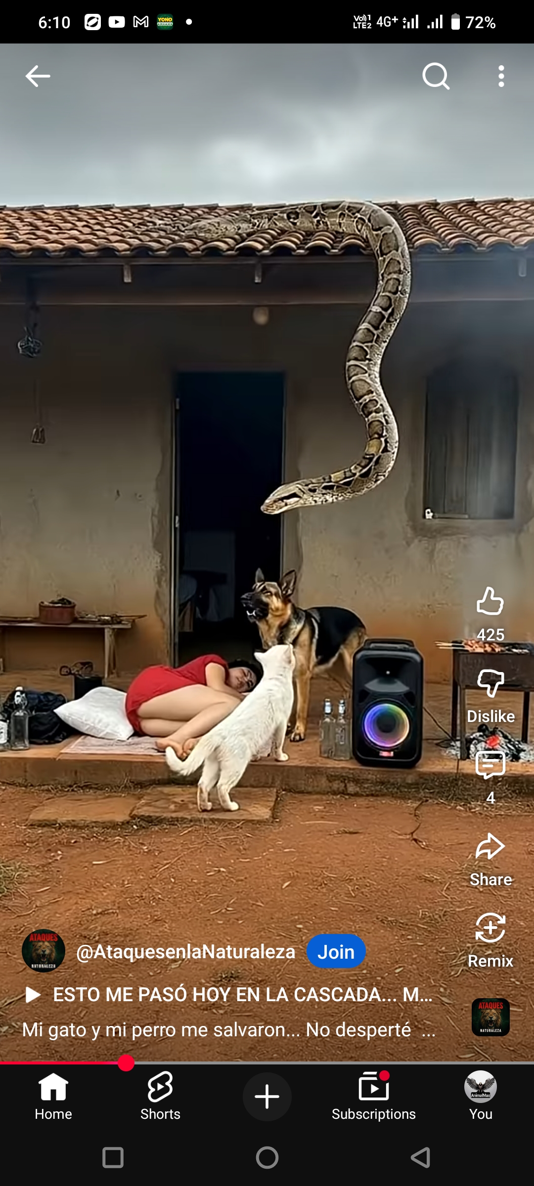 Guardian Vigil: A Tense Encounter with Nature