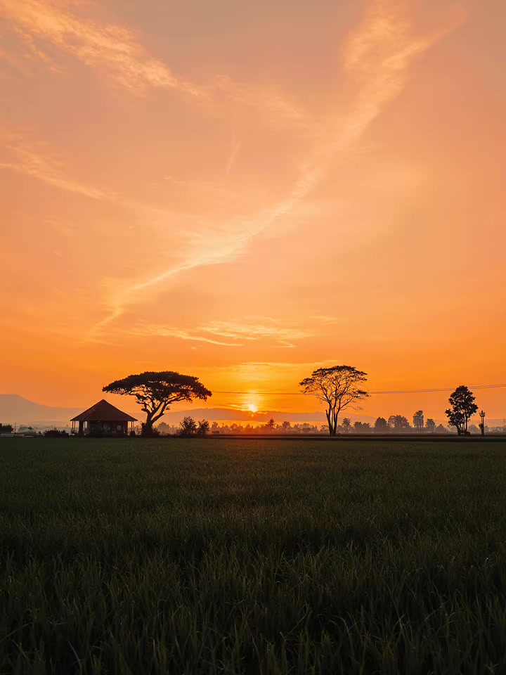 Bangkit Dari Kegagalan