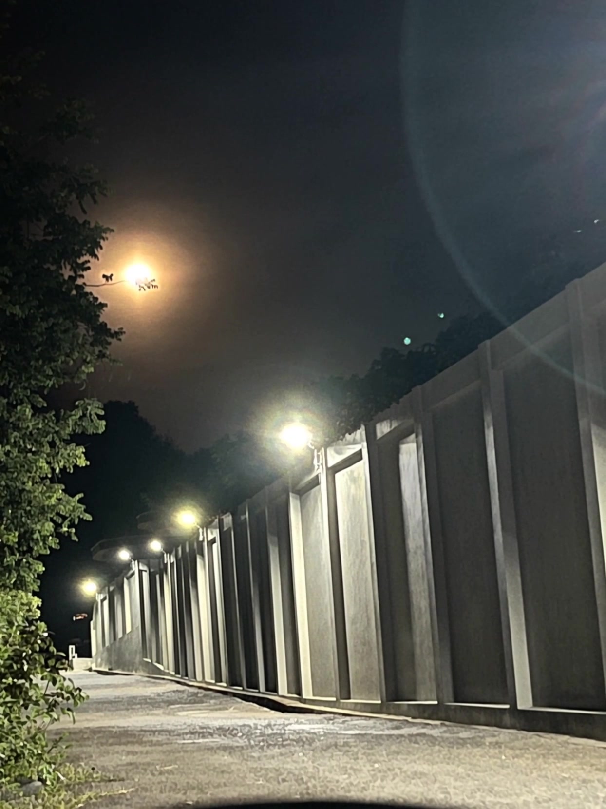 Malam dan Persahabatan