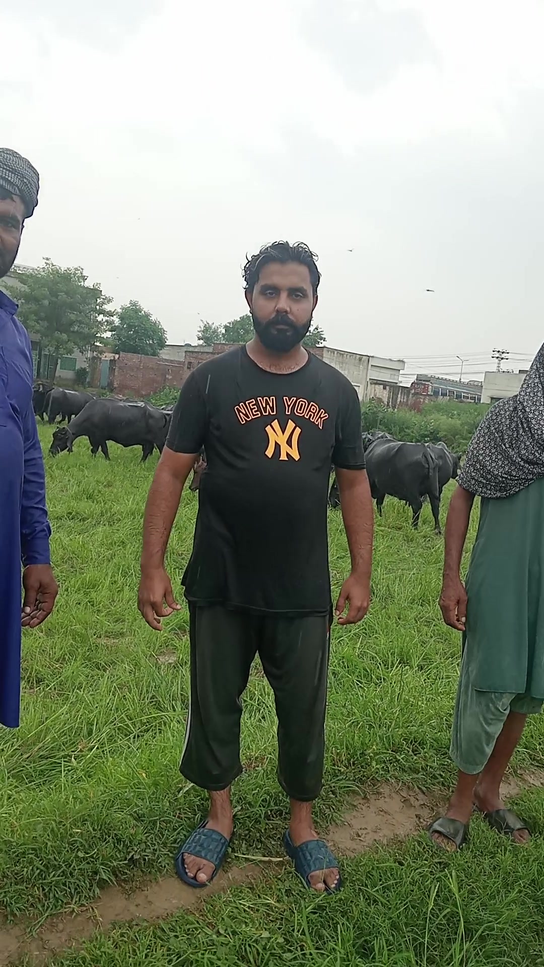 This Man Walking with Animals