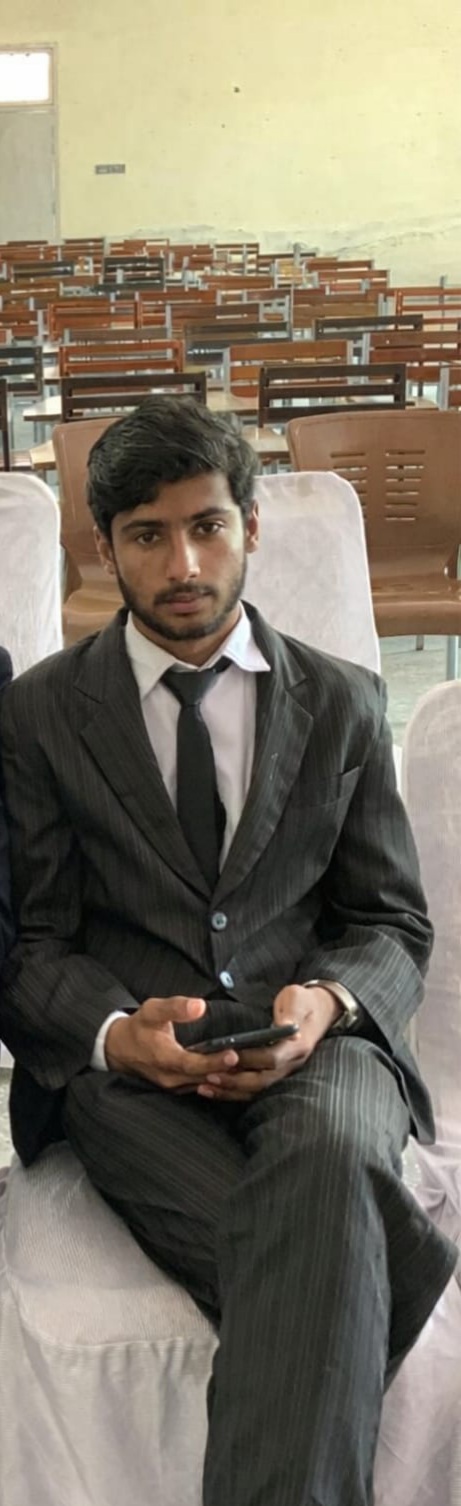 Hadi's Flutter and Insect Problems