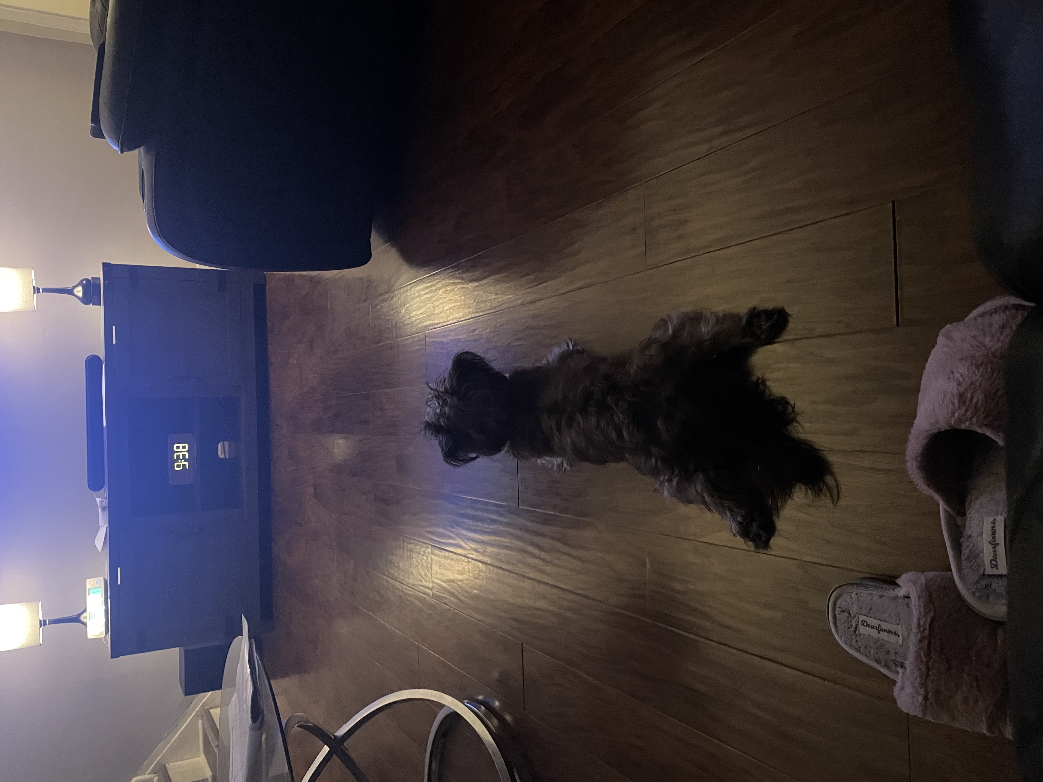 A Day in the Life of Pepper