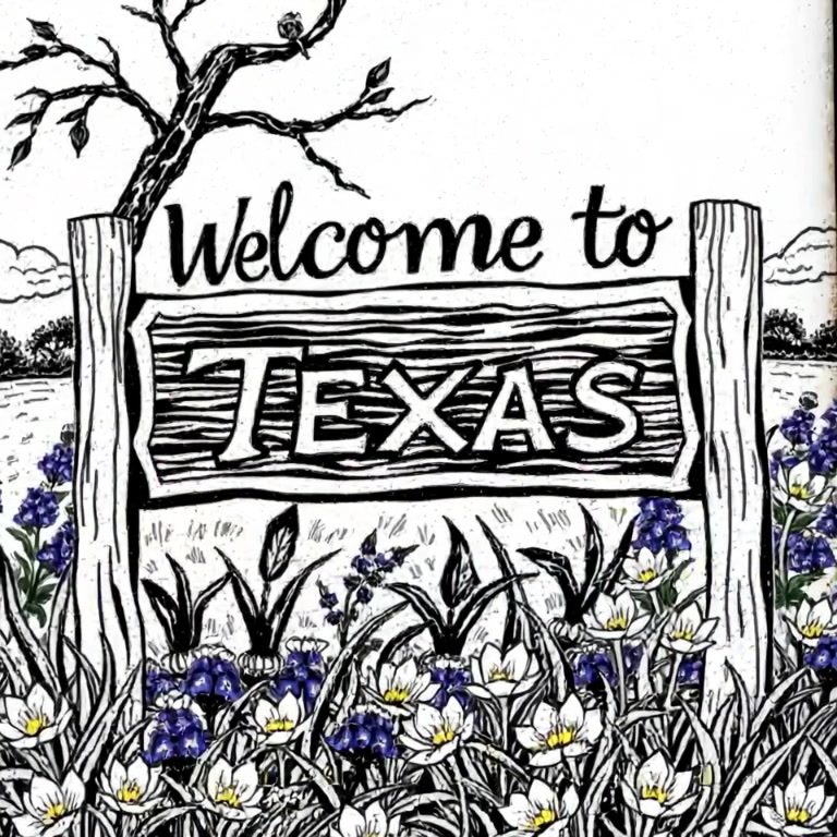 Wildflowers and bluebonnets sway gently around a close-up sign that reads 'Welcome to Texas' under a clear blue sky.