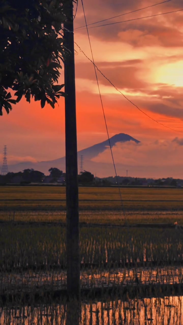 Hidup dan Keseimbangan: Terus Bergerak Meskipun Kesulitan