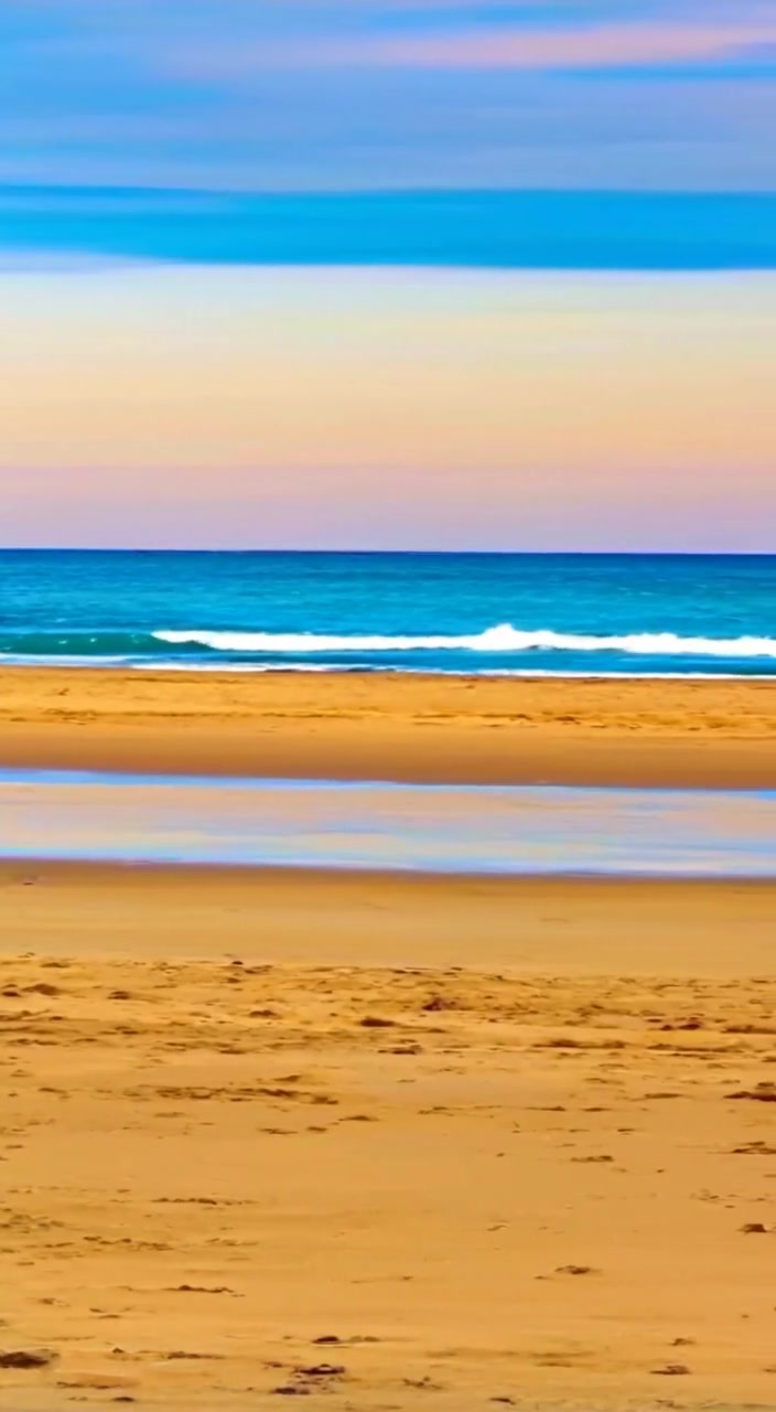 Beach Adventure: Kids and Their Furry Friend