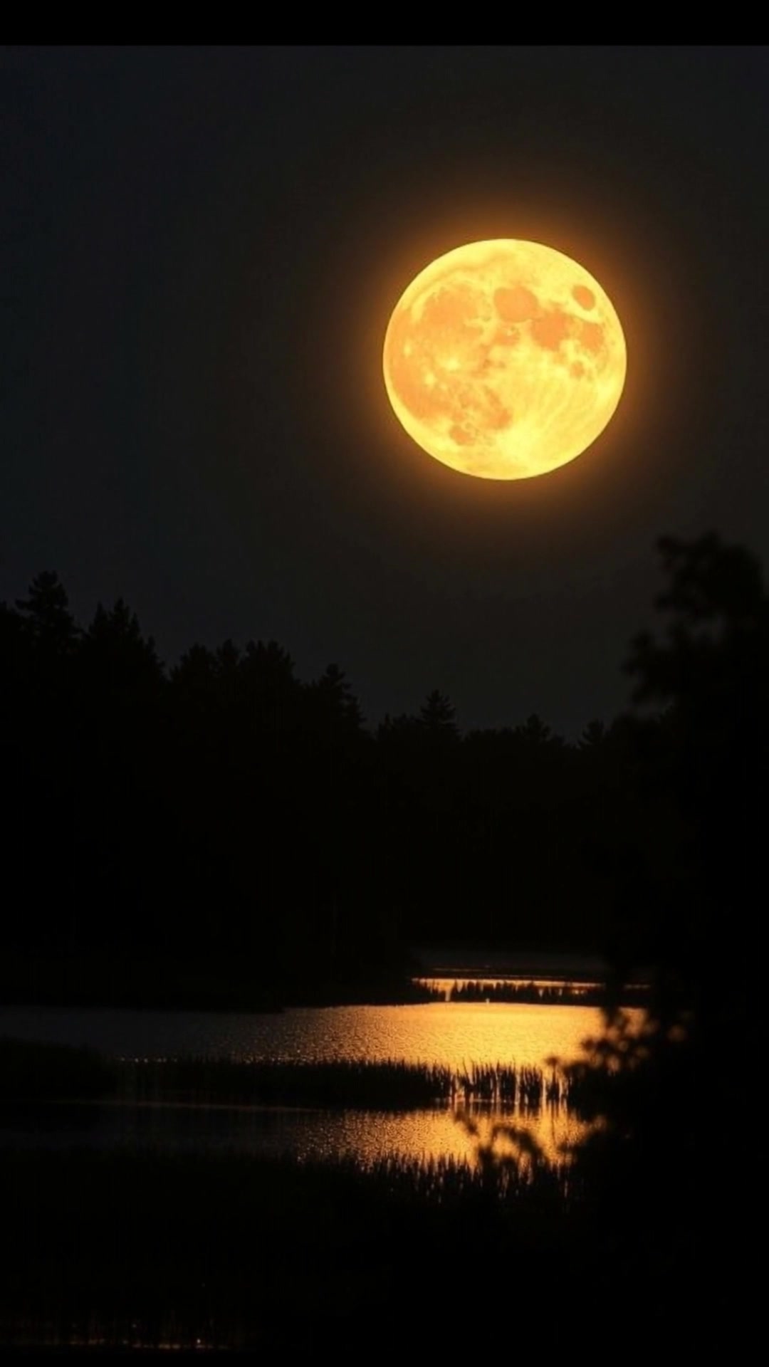 The Taurus Beaver Supermoon: Honoring the Builder Within