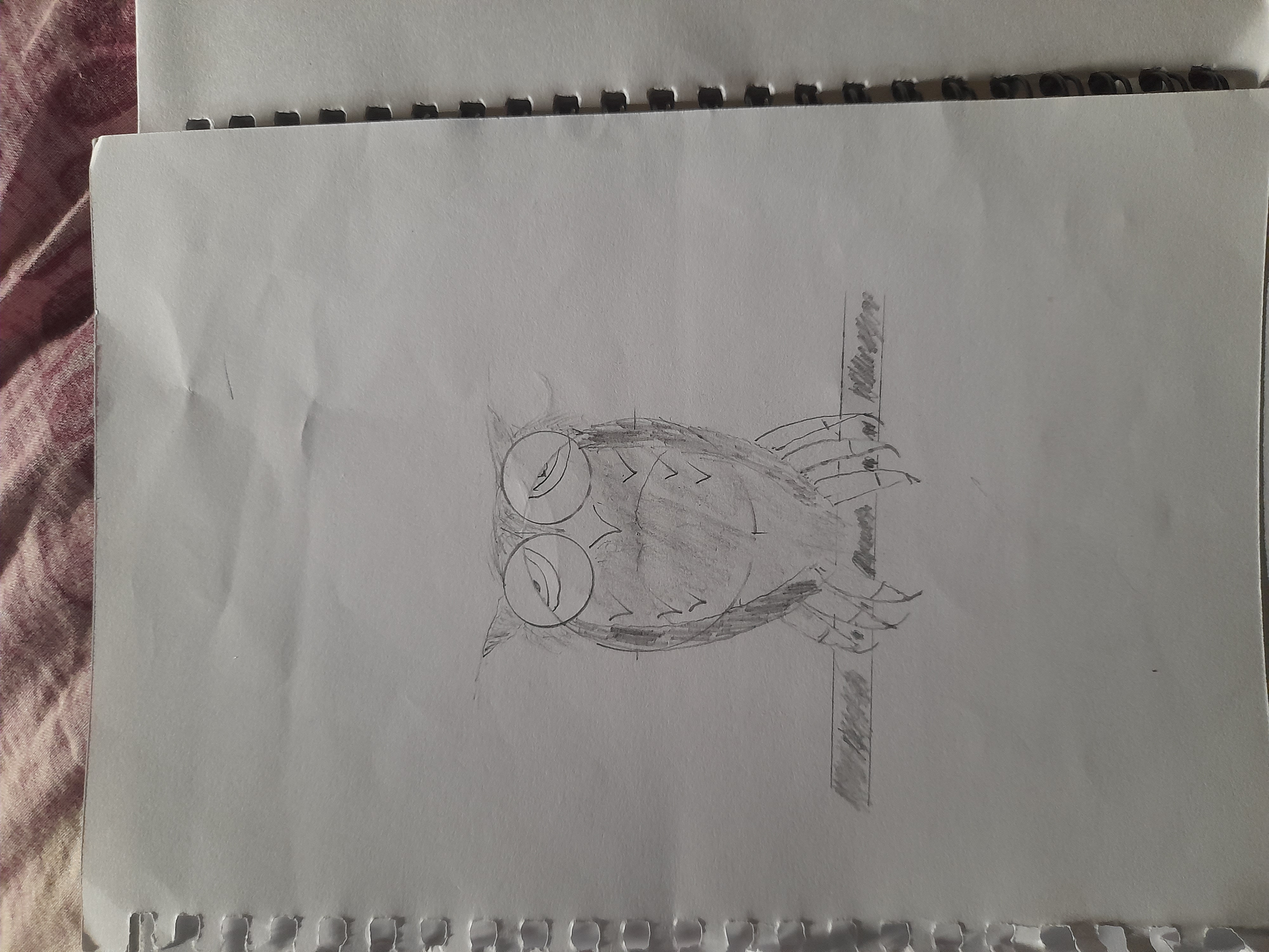 Owl's Desperate Rescue