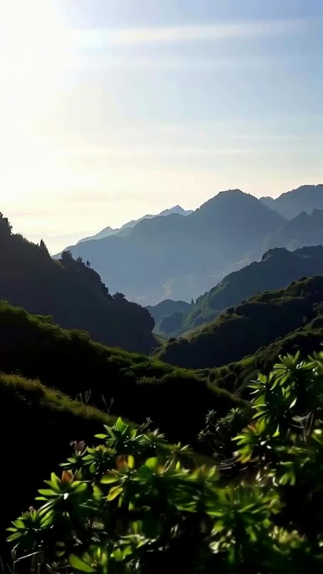 Kisah Sehari Seorang Ayah Multitalenta