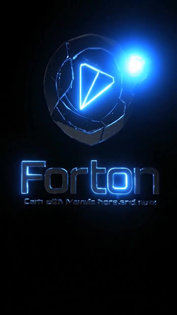 تعريف مشروع فورتون