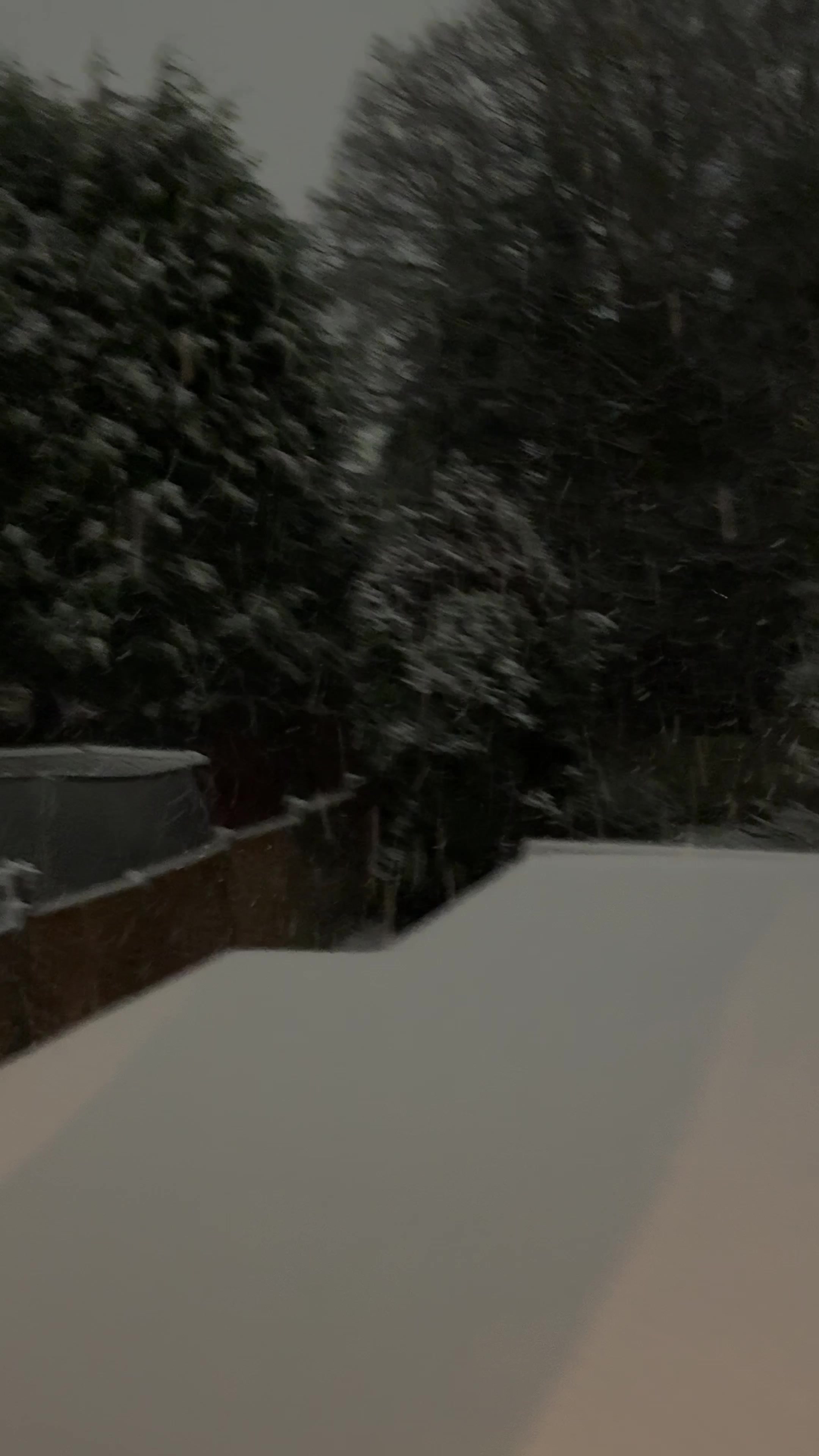 Embracing Cold: A Journey of Hope and Resilience