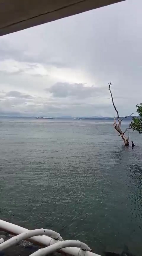 Island Exploration
