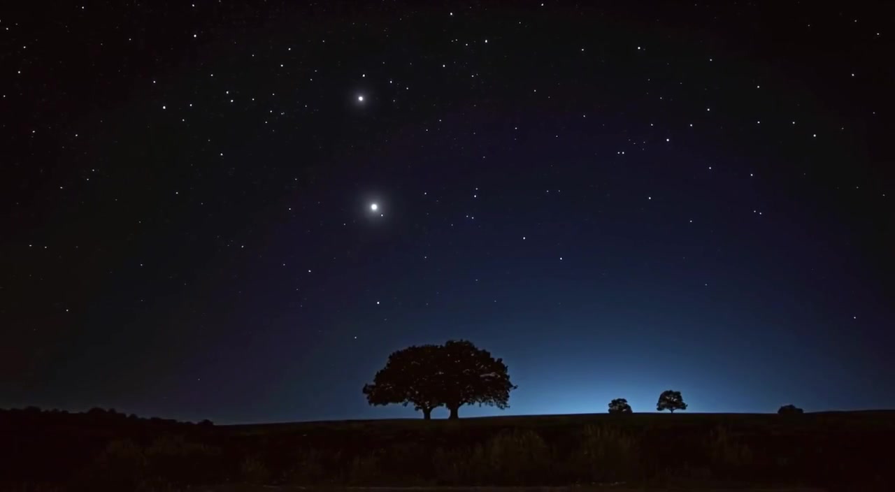 Stars twinkle gently in the vast night sky above dark silhouettes of trees swaying lightly in the breeze.