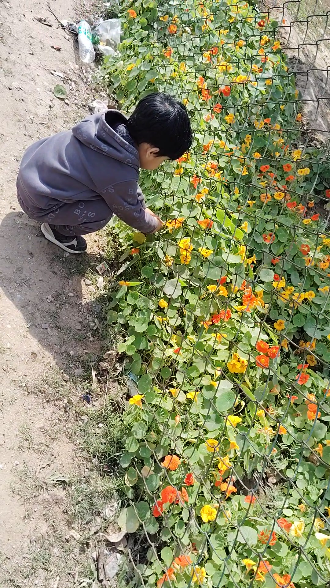 Gratitude for Nature's Beauty