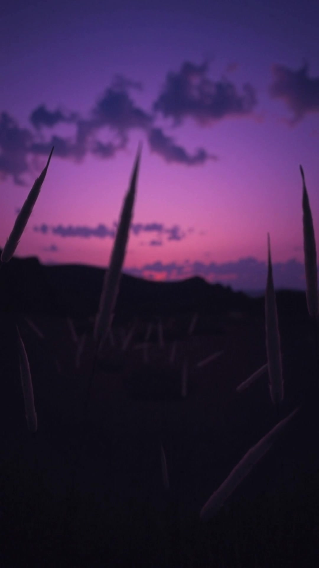 Whispers of Mercy: The Storm Within