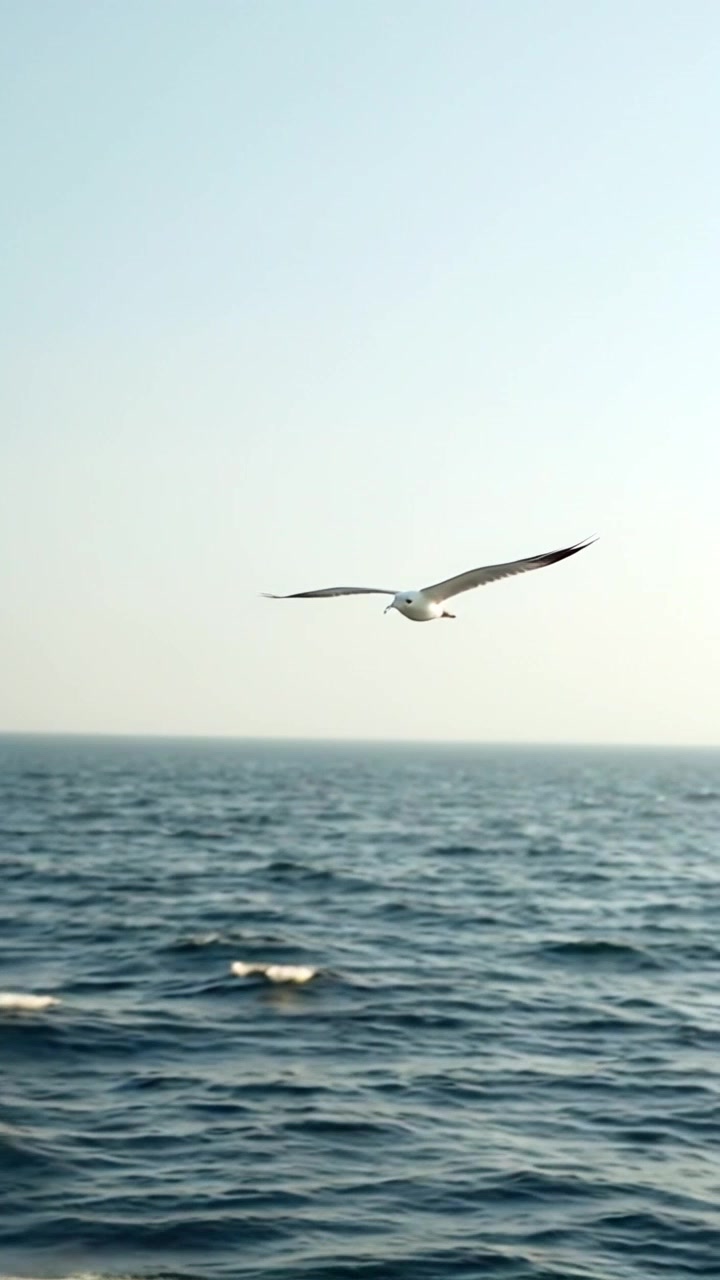 Albatros: Raja Langit yang Terbang Tanpa Henti