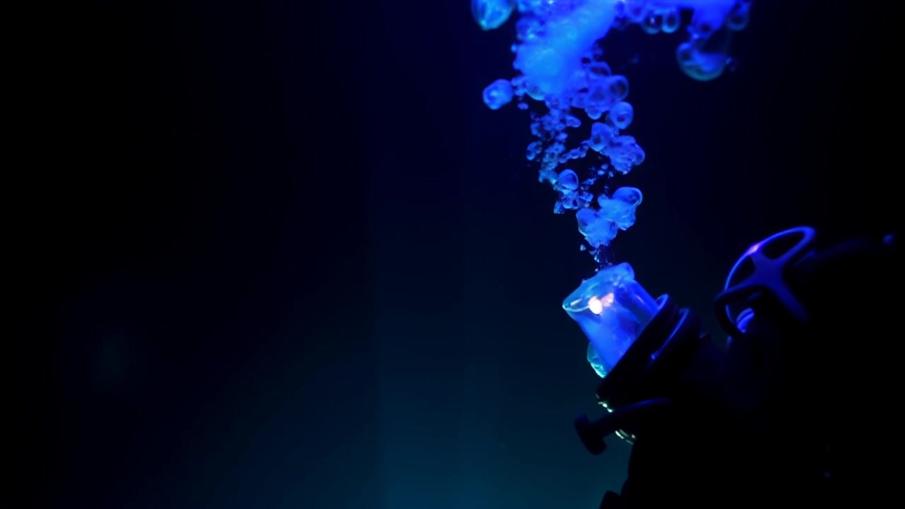 Miraculous Survival: True Deep Sea Diving Incidents