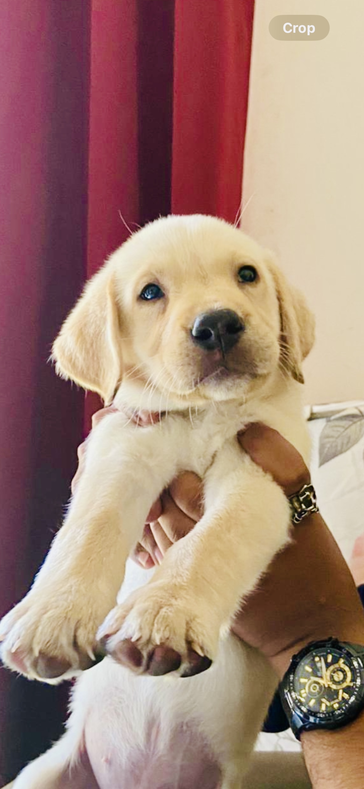 Cju's Journey: From Small to Unstoppable