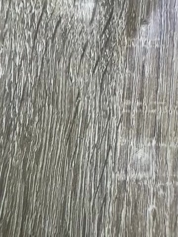 Cat vs Dog: Epic Showdown!