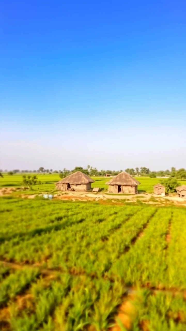 روایتی پاکستانی گاؤں کی زندگی کی جھلک