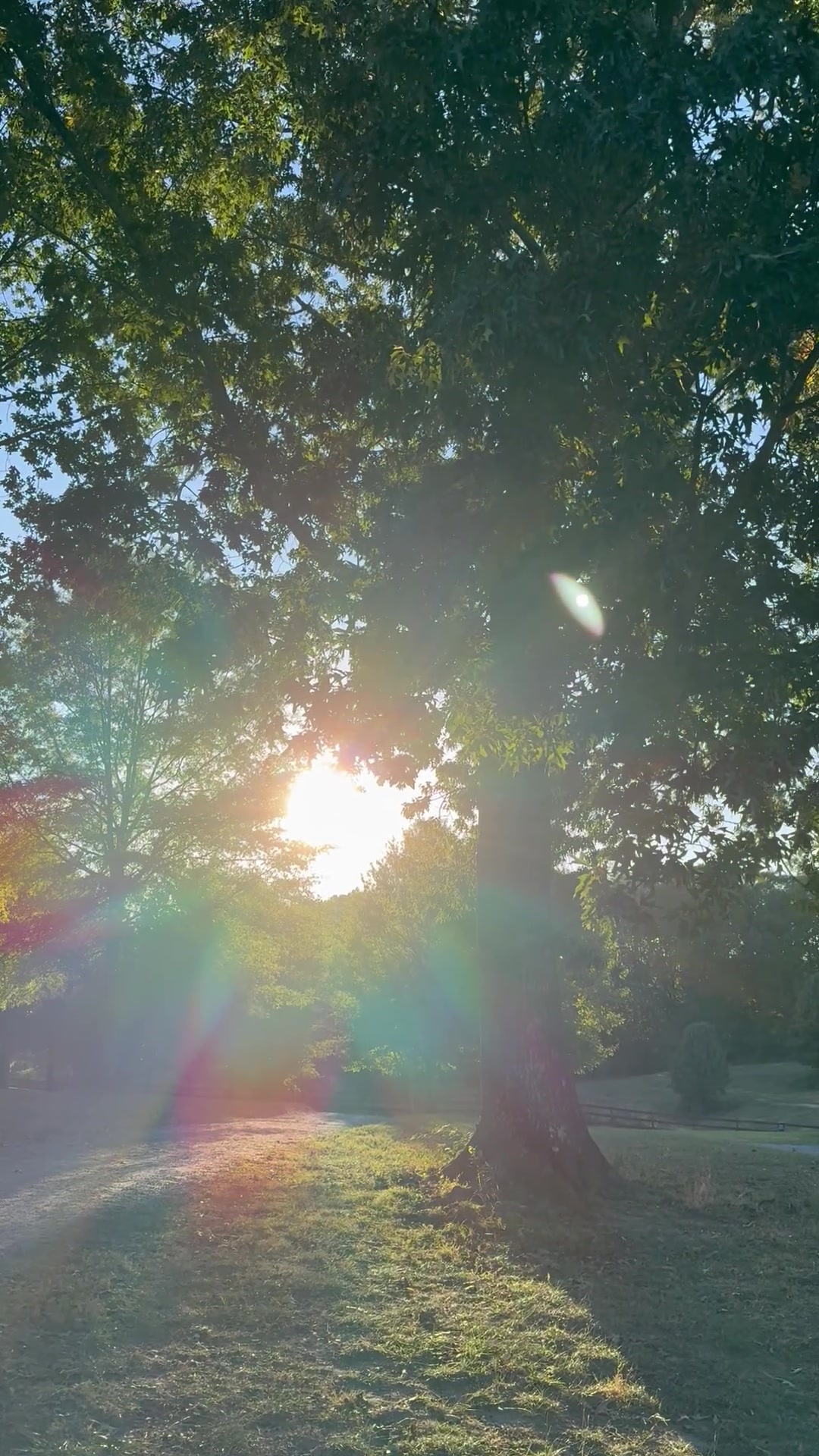 The Beauty of Nature